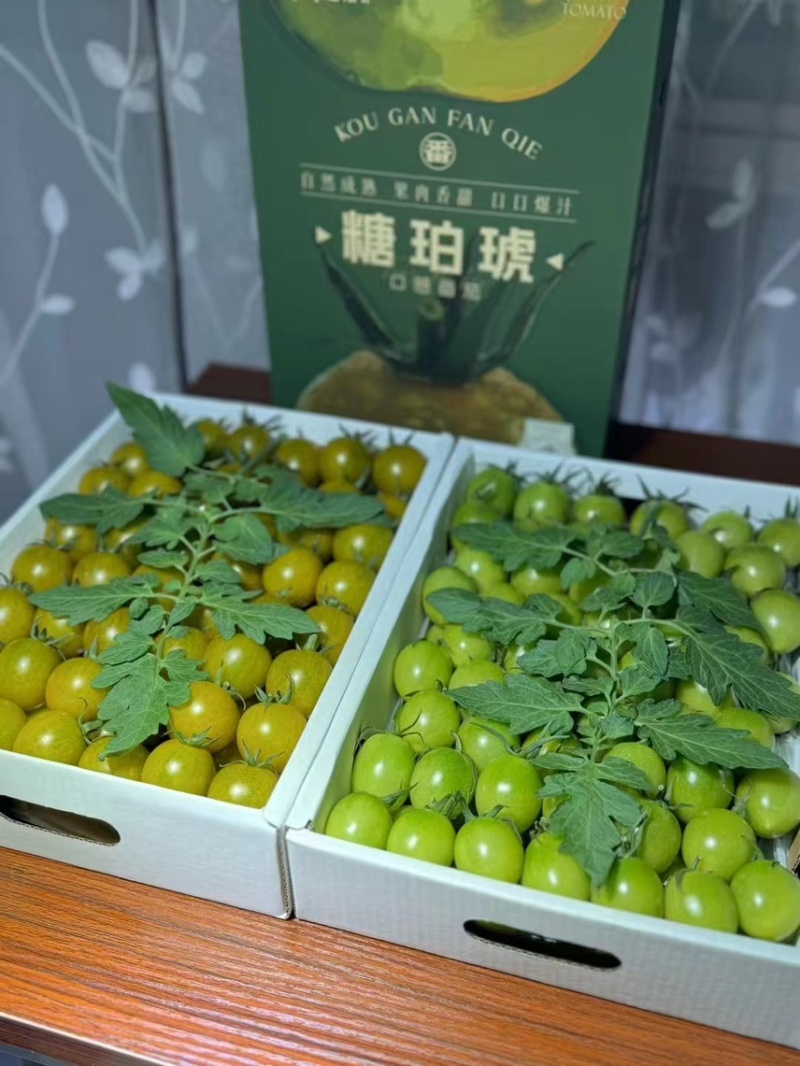 多彩小番茄，大量有货，专业对接商超，档口，电商一件代发