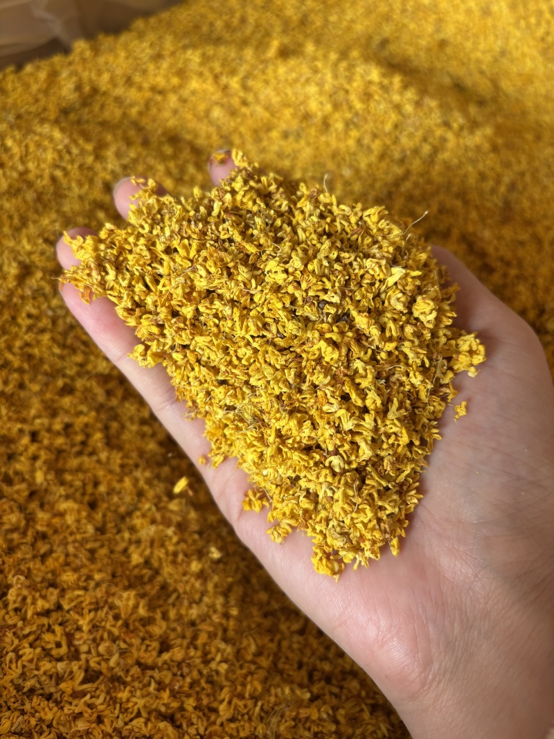 散装桂花茶一手货源农副加工花草茶原料