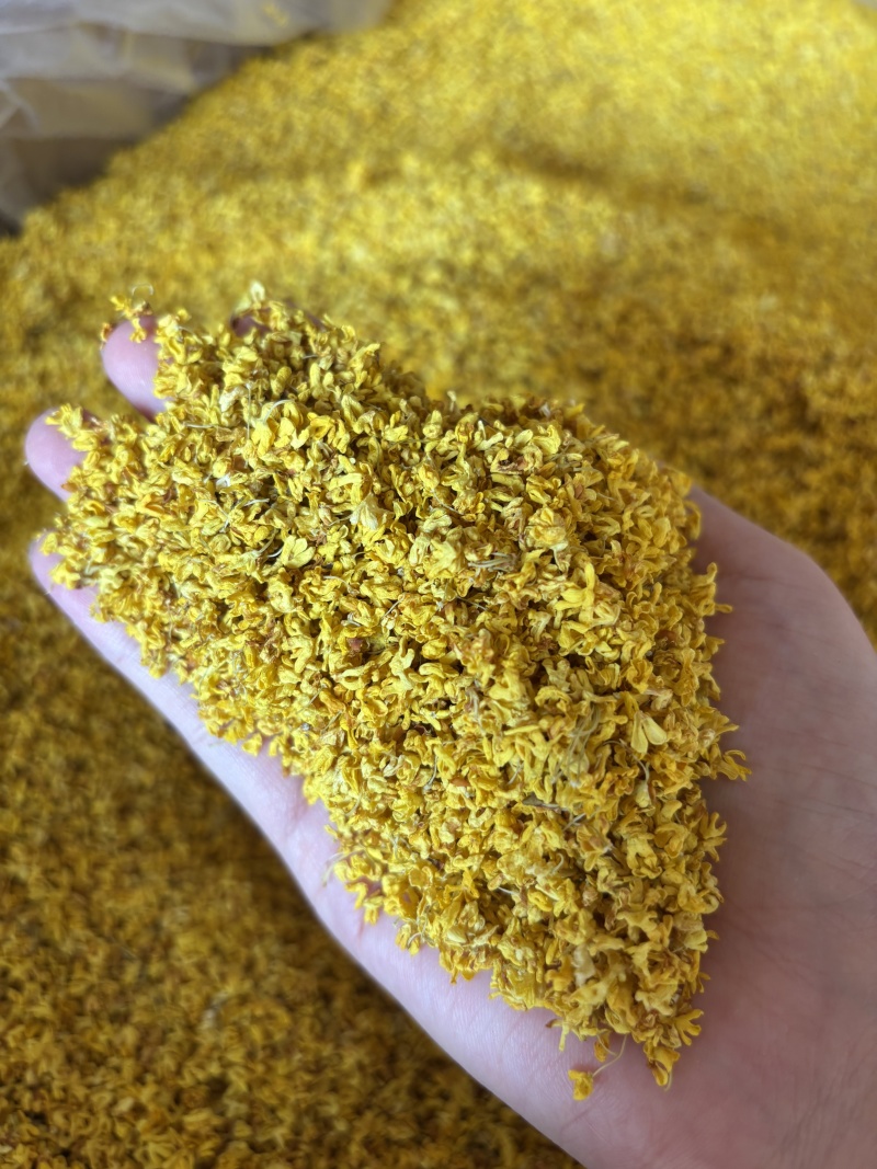 散装桂花茶一手货源农副加工花草茶原料
