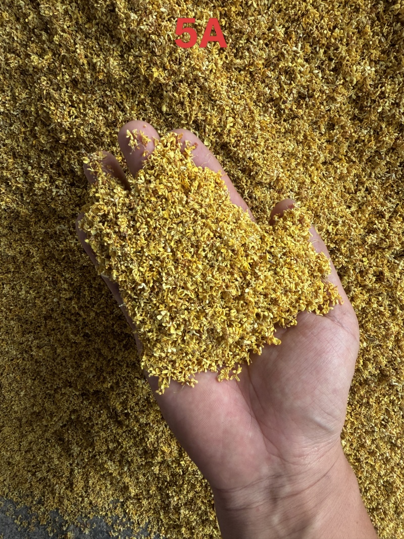 散装桂花茶一手货源农副加工花草茶原料