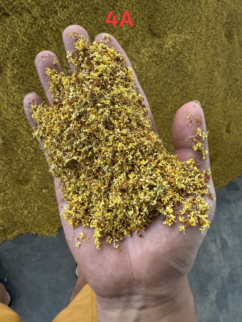 散装桂花茶一手货源农副加工花草茶原料
