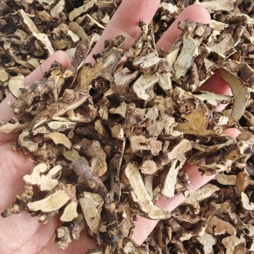 仙灵脾根