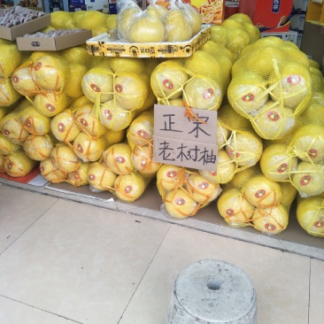 广西桂林瑶山精品沙田柚