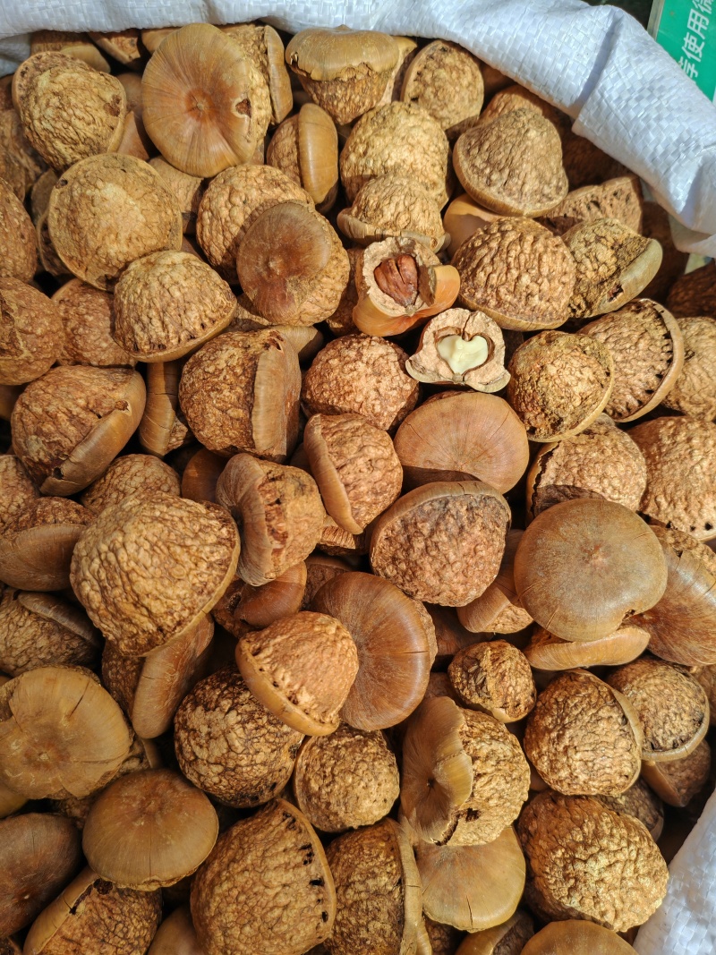 风流果，石头果