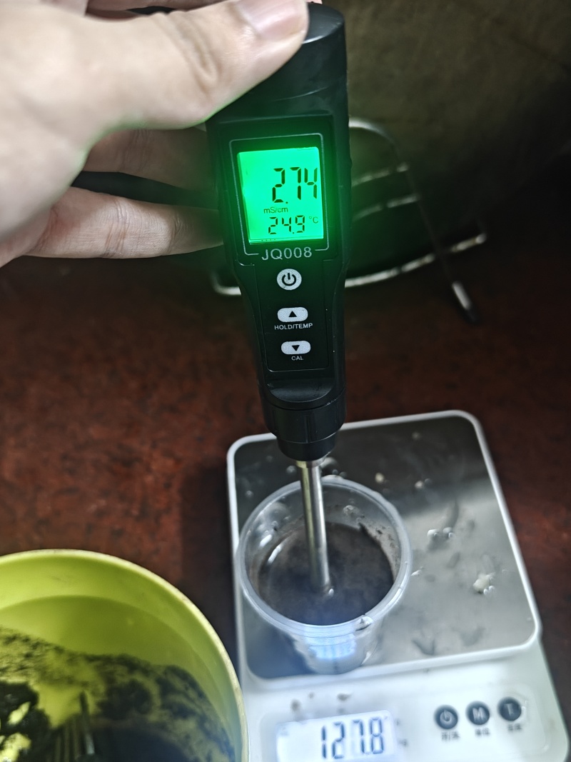 大棚自产自销大粉硬果番茄