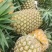 香水菠萝