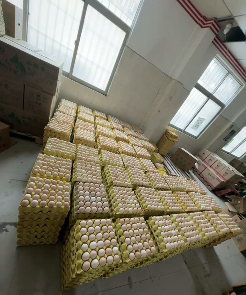 新鲜品质优良，120一件，360枚，大中小