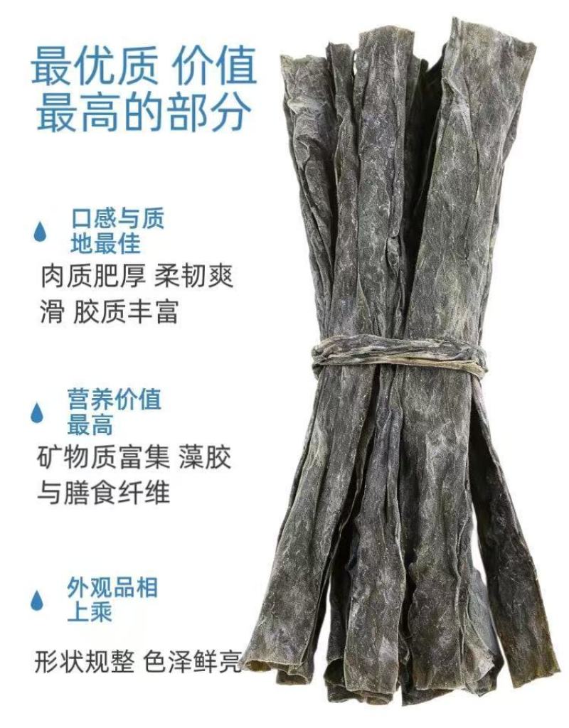 海带中段海带片海带干货海带头海带结