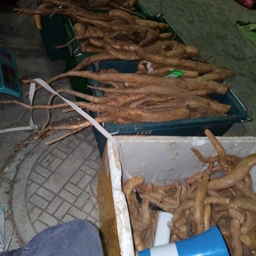 丽江宁蒗本地牛尾山药