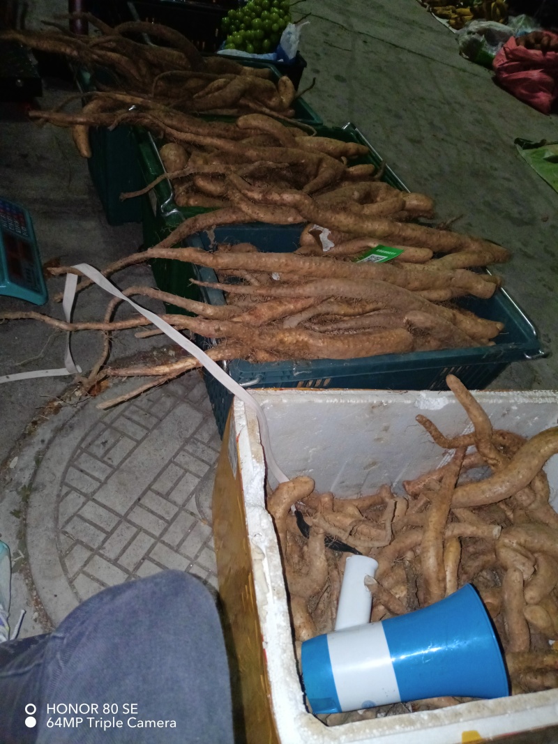 丽江宁蒗本地牛尾山药