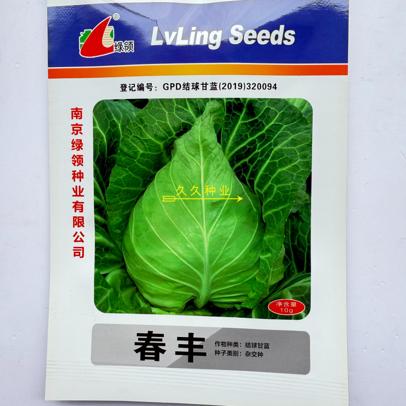 绿领春丰甘蓝种子包菜卷心菜种籽早熟牛心甘蓝包心菜蔬菜种籽