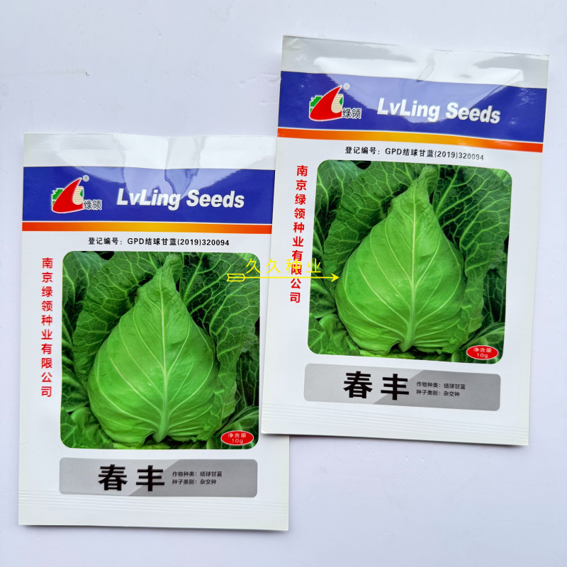 绿领春丰甘蓝种子包菜卷心菜种籽早熟牛心甘蓝包心菜蔬菜种籽