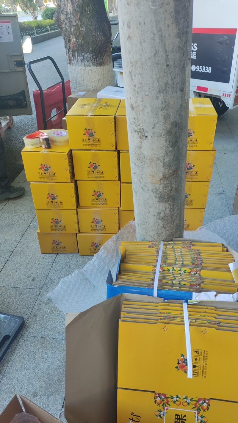 运费自理，多少量都发货，摆摊、商超、平台、批发、代发都搞