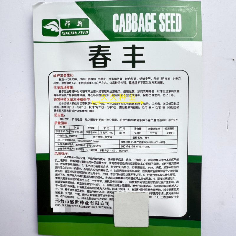邢新春丰牛心甘蓝种子杂交一代春秋牛角甘蓝种子冬性强耐寒