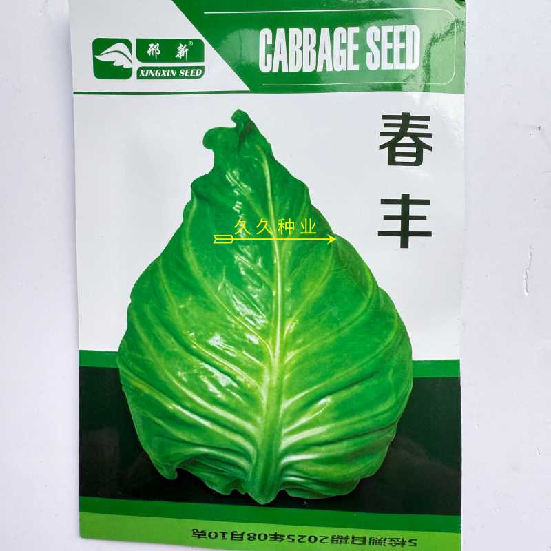 邢新春丰牛心甘蓝种子杂交一代春秋牛角甘蓝种子冬性强耐寒