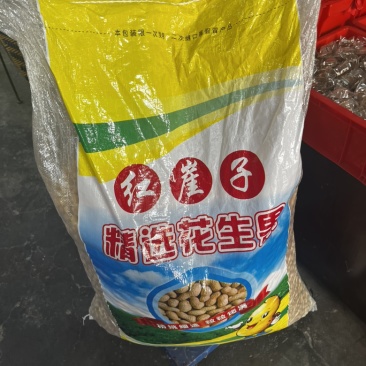红崖子花生油料果**油坊出油率高欢迎老板砸单