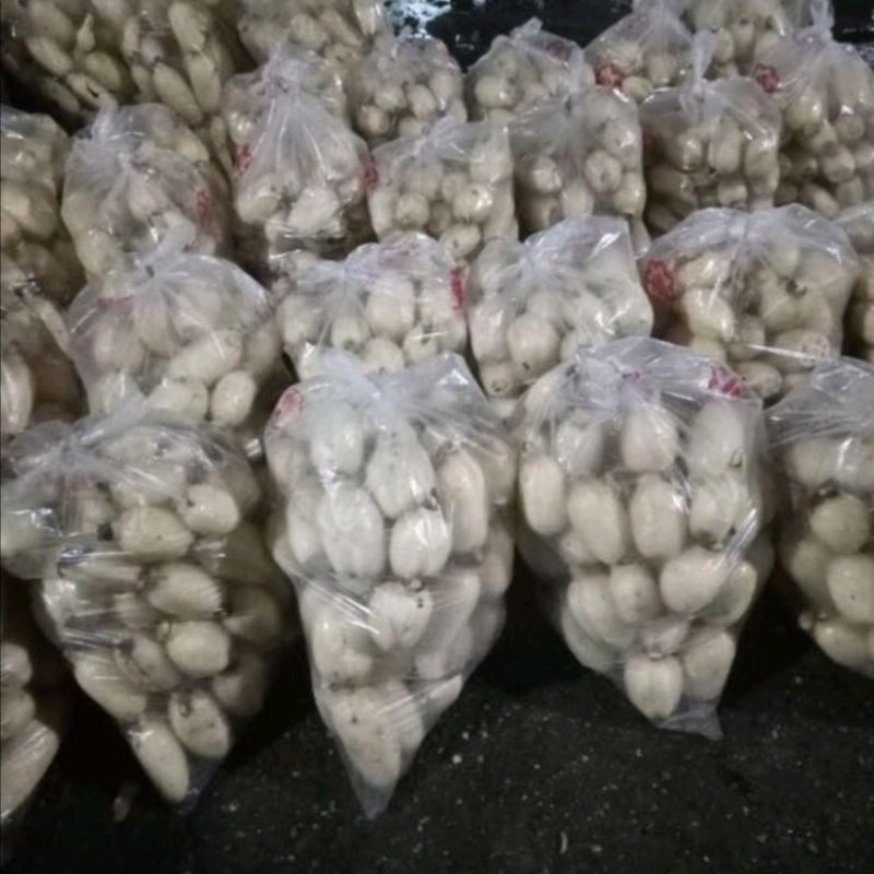 精品小藕头，量大价格可谈