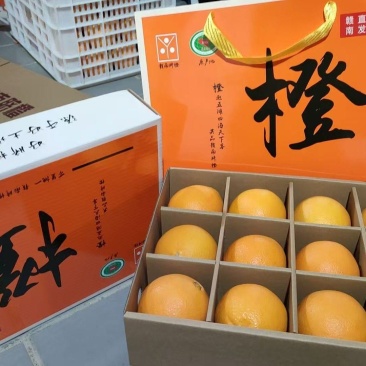 瑞金产地直发赣南脐橙