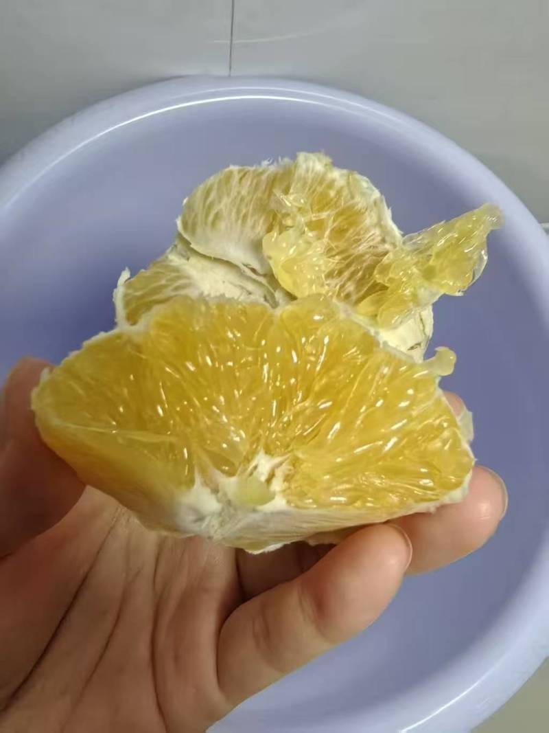 瑞金产地直发赣南脐橙