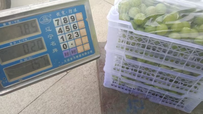 阳光玫瑰小白箱葡萄