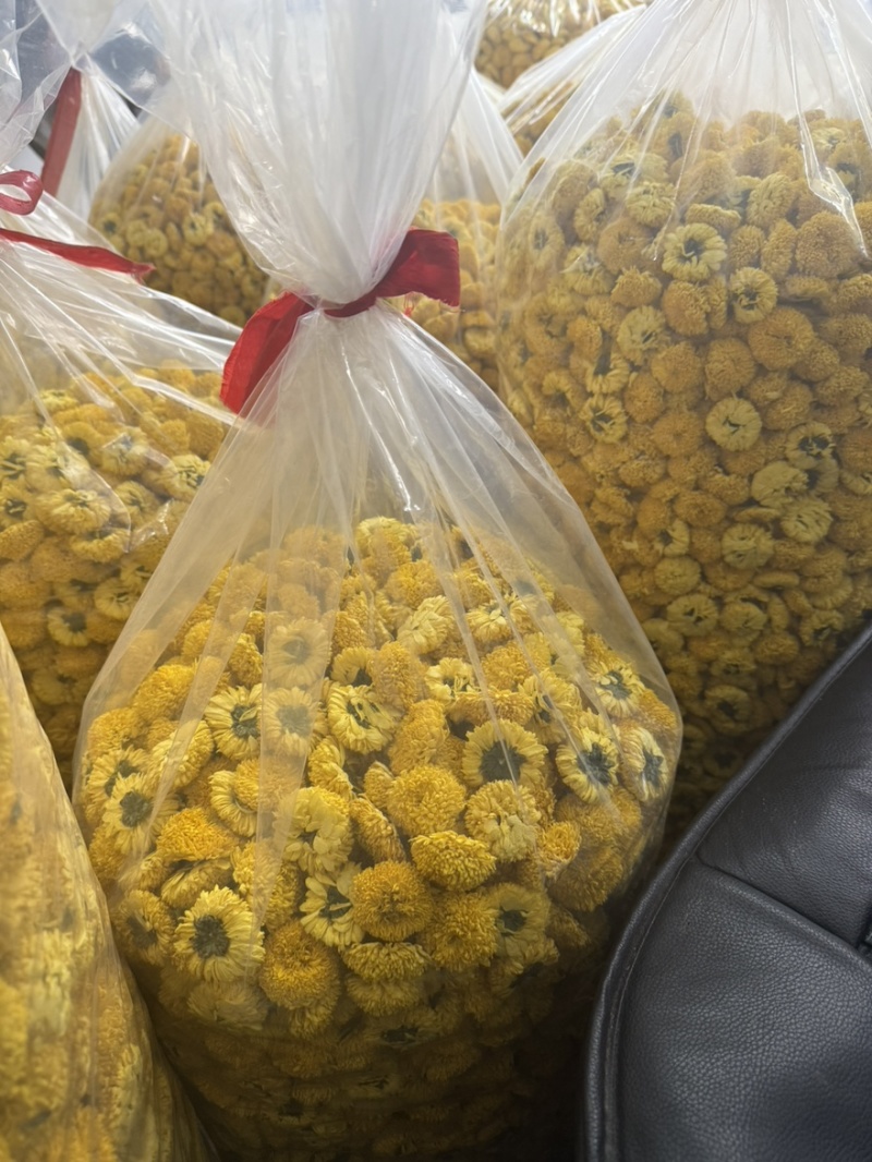 徽州高山皇菊原产地，皇菊大量批发