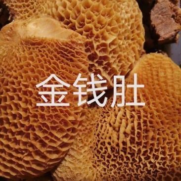 【熟食金钱肚】