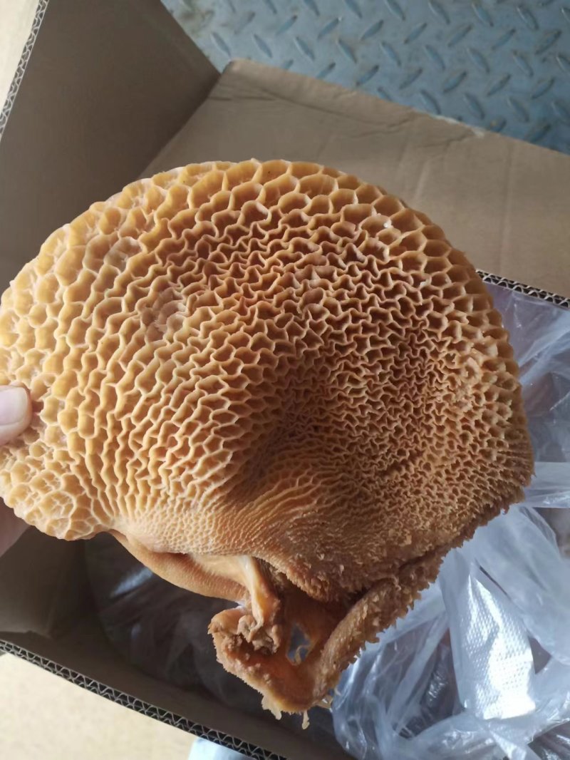 【熟食金钱肚】