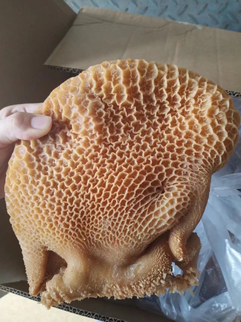 【熟食金钱肚】