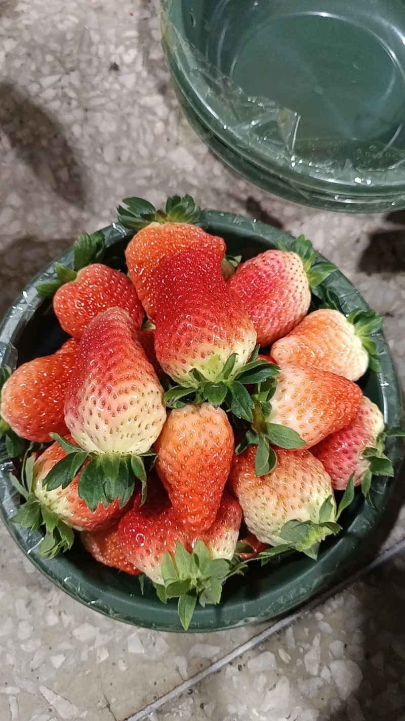 大凉山露天冬草莓