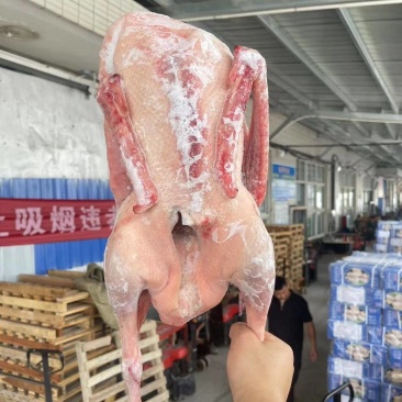 大鹅，福利价冬天来啦，铁锅炖大鹅吃起来
