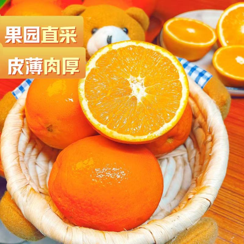 纽荷尔脐橙，果园直发