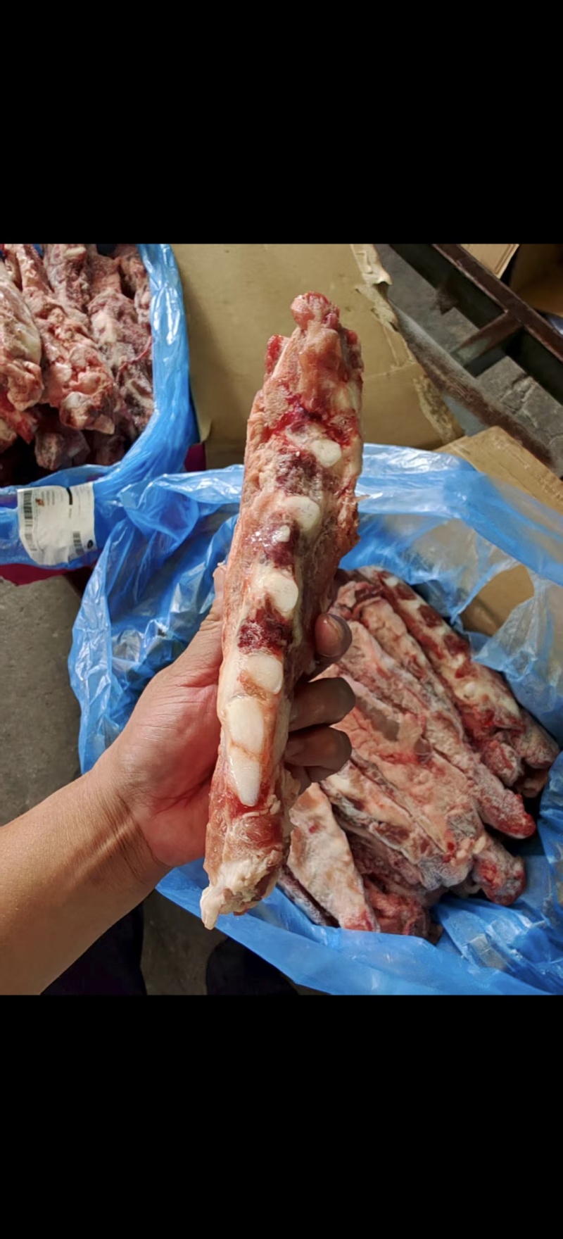 猪胸骨也叫排骨边