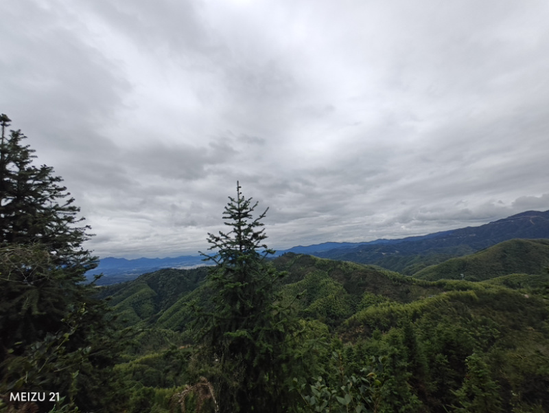 江西高山纯正山茶油60年老茶籽树物理榨油1斤装