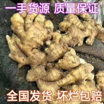 新疆生姜大姜老姜鲜姜辣味足块头大支持全国发货保质保量