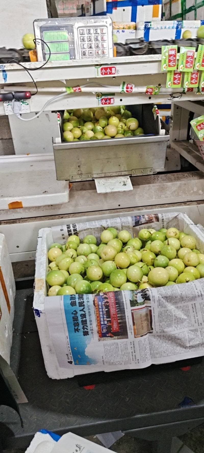 仓库每天发货欢迎新老客户光临