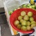 仓库每天发货欢迎新老客户光临