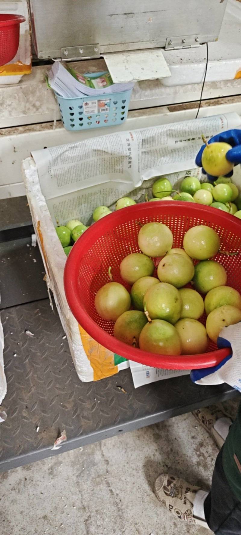 仓库每天发货欢迎新老客户光临