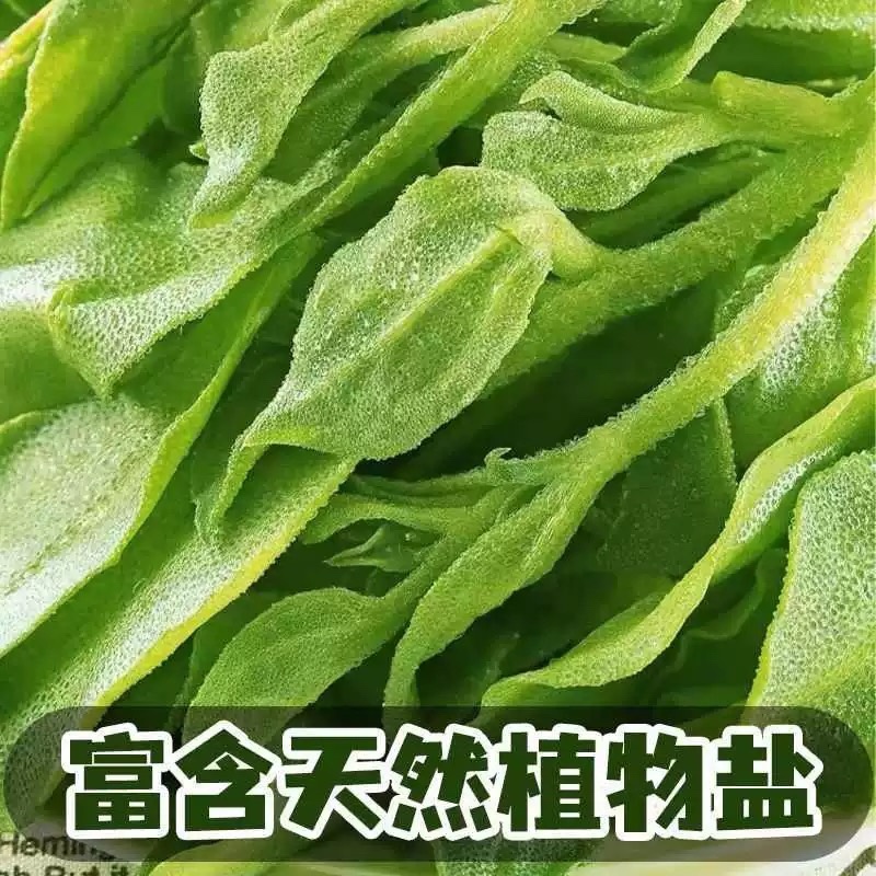 山东寿光新鲜采摘冰菜产地直发