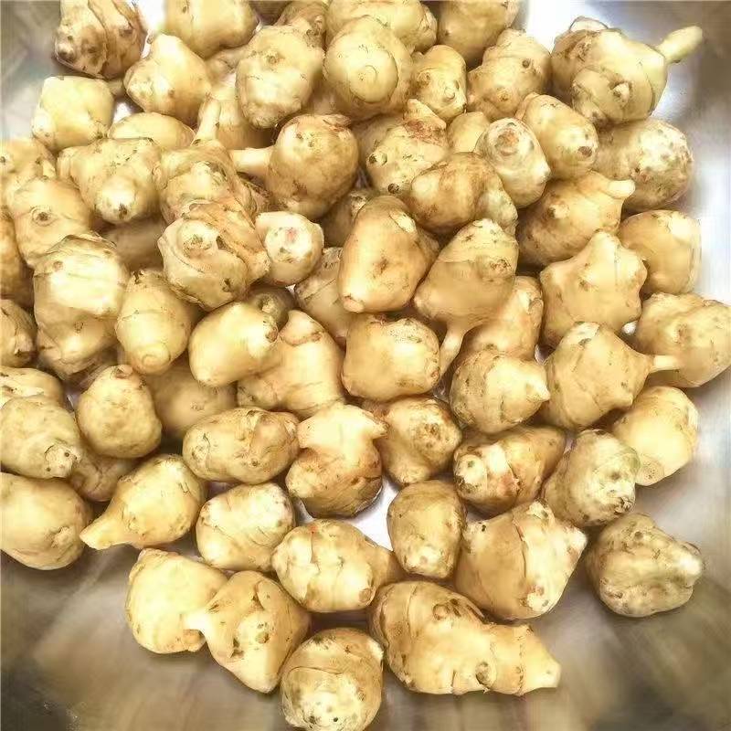 【推荐】本地洋姜菊芋供应市场商超电商一手货源量大从优