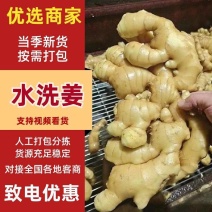 河南生姜大姜老姜鲜姜全国发货坏烂包赔产地一手货源质量保证