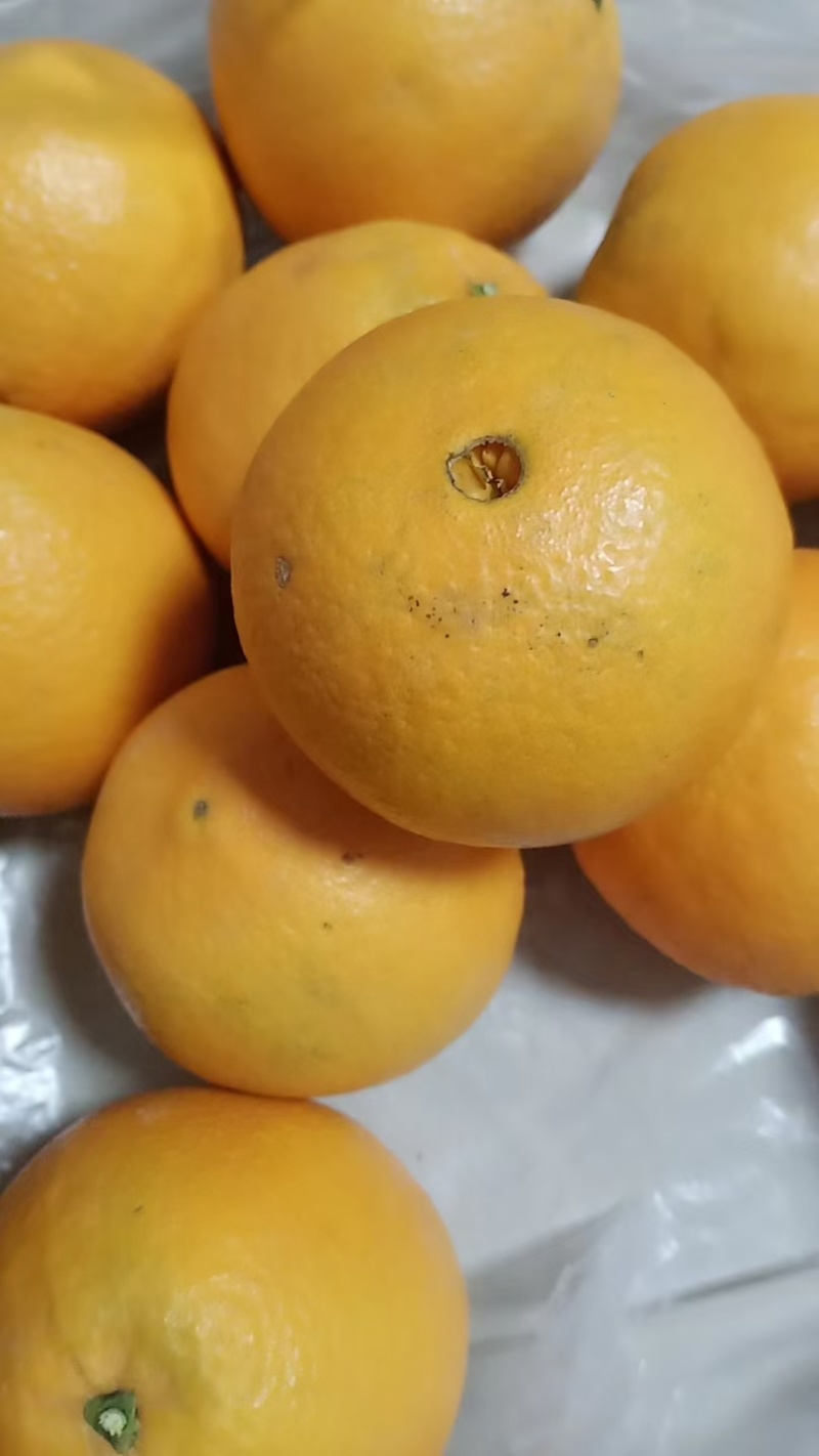 瑕疵果次果，不影响食用，表皮瑕疵，适合家庭食用或电商采购