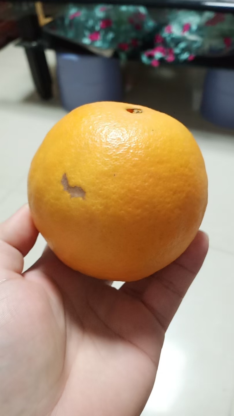 瑕疵果次果，不影响食用，表皮瑕疵，适合家庭食用或电商采购