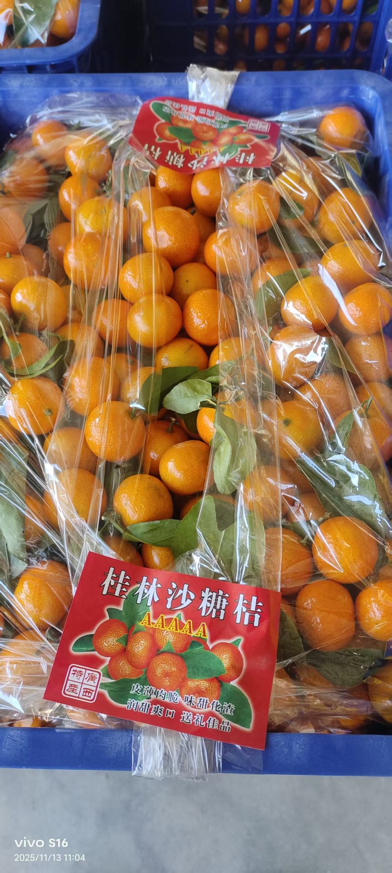 广西砂糖橘柑桔（一手货源，量大从优）规格齐全，欢迎电联