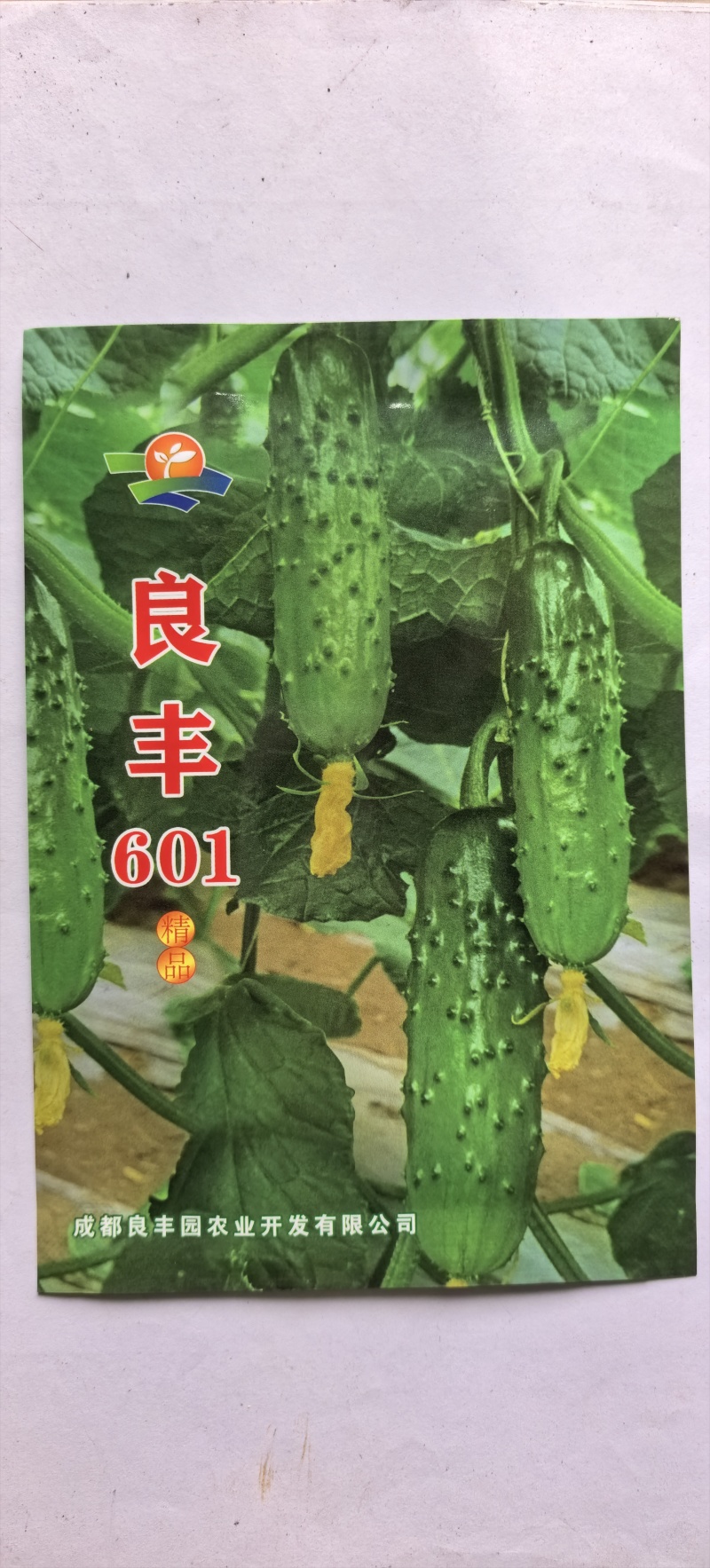 黄瓜种子良丰601全雌亮绿色顺直耐寒耐热全年可种