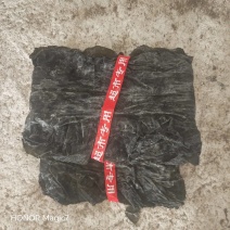 精品无沙纯二两片