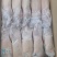一级白条鸭1100-1400工厂直发手续齐全