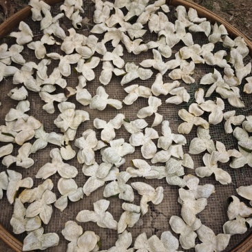 新会陈皮，自然晾晒，新会陈皮柑，大量接单欢迎来电