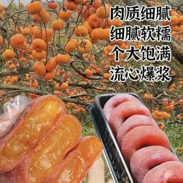 【平乐柿饼】广西流心柿饼/桂林平乐柿饼/电商团购一件代发