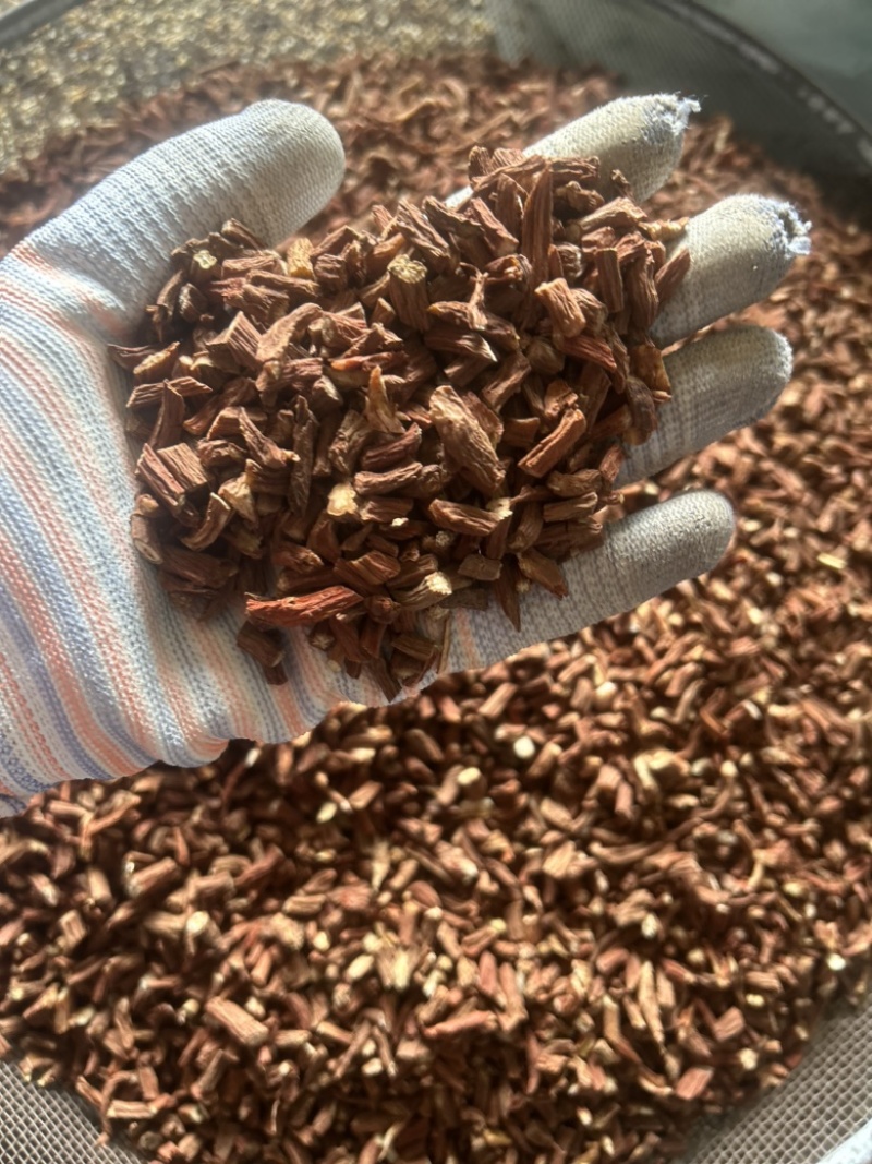 山东本地丹参/红皮丹参/大小都有/量大从优/产地直发