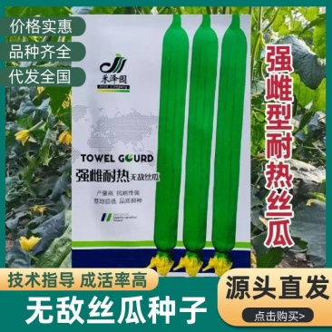强雌耐热无敌丝瓜种子果型顺直高产肉质紧实节节有瓜长丝瓜种